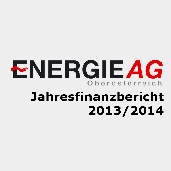 Jahresfinanzbericht 20132014