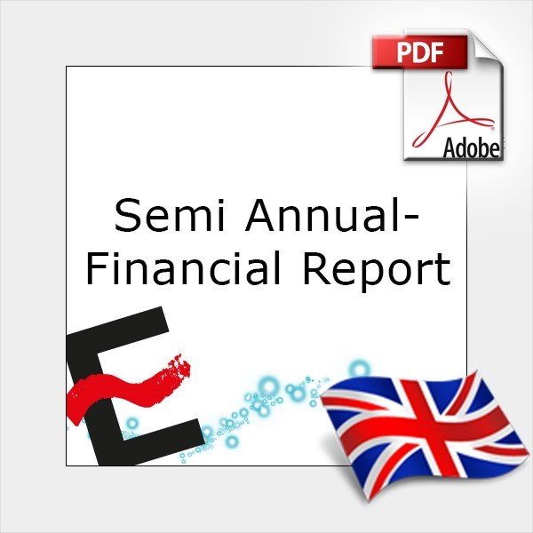 Semi-Annual Financial Report 20192020