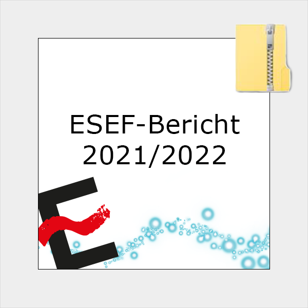 ESEF-Bericht 20212022