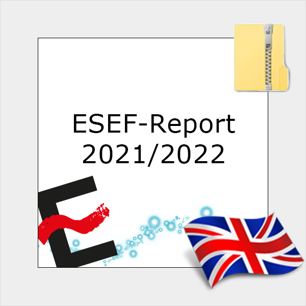 ESEF-Report 20212022
