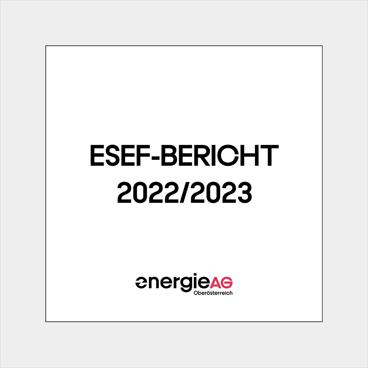 ESEF-Bericht 20222023