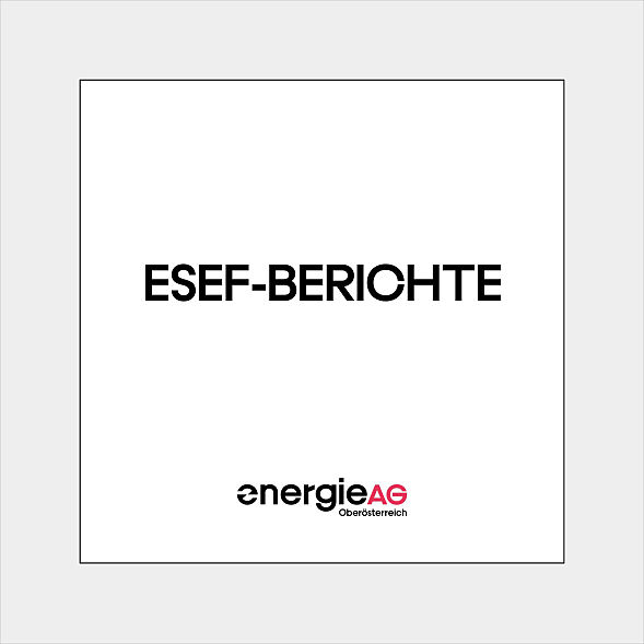 ESEF-Berichte