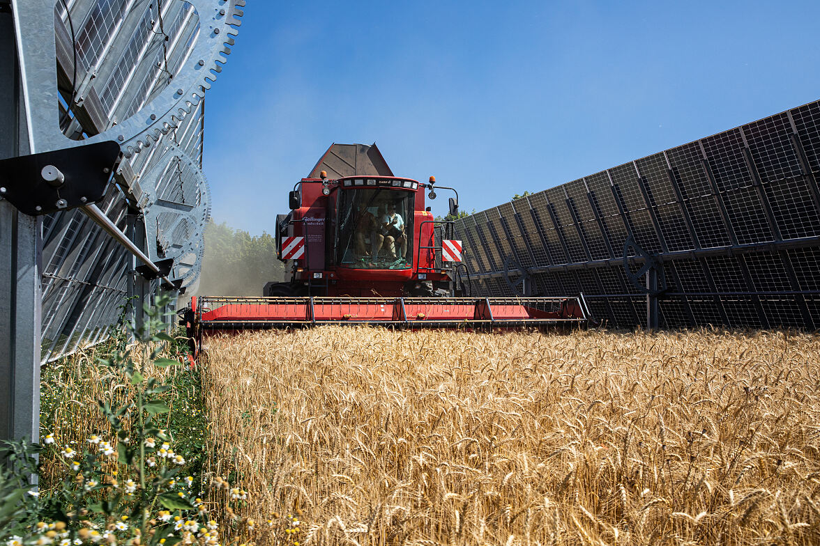 Symbolbild Agri-PV-Anlage