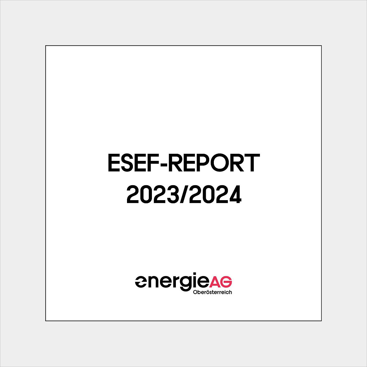 ESEF-Report 20232024