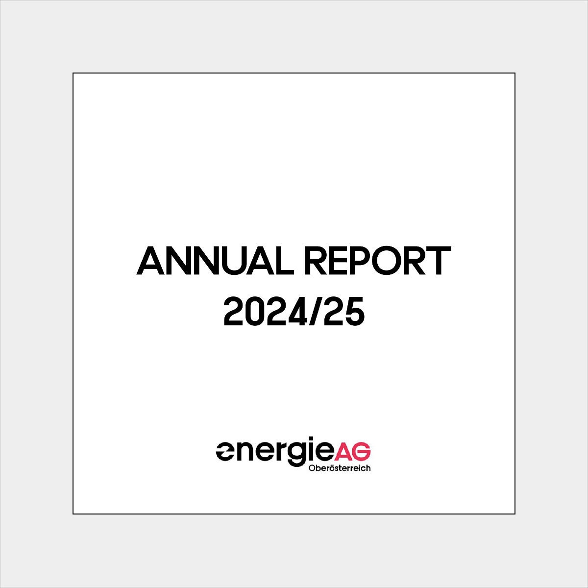Annual Report 202425
