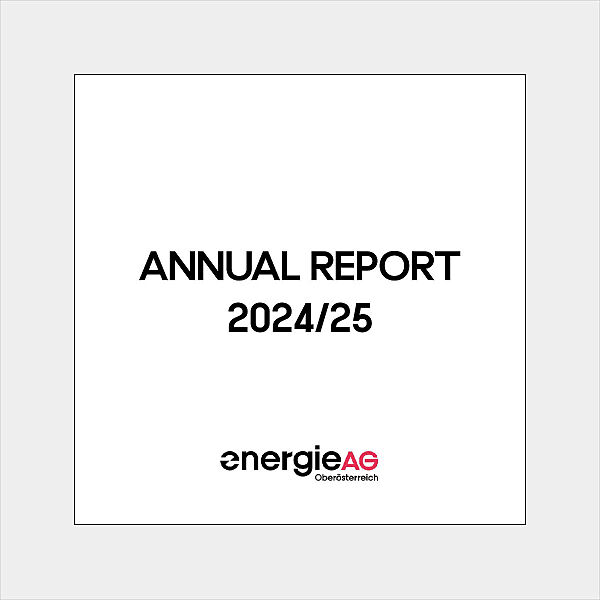 Annual Report 202425